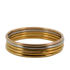 Rêve Skinny Bangle Set (5)